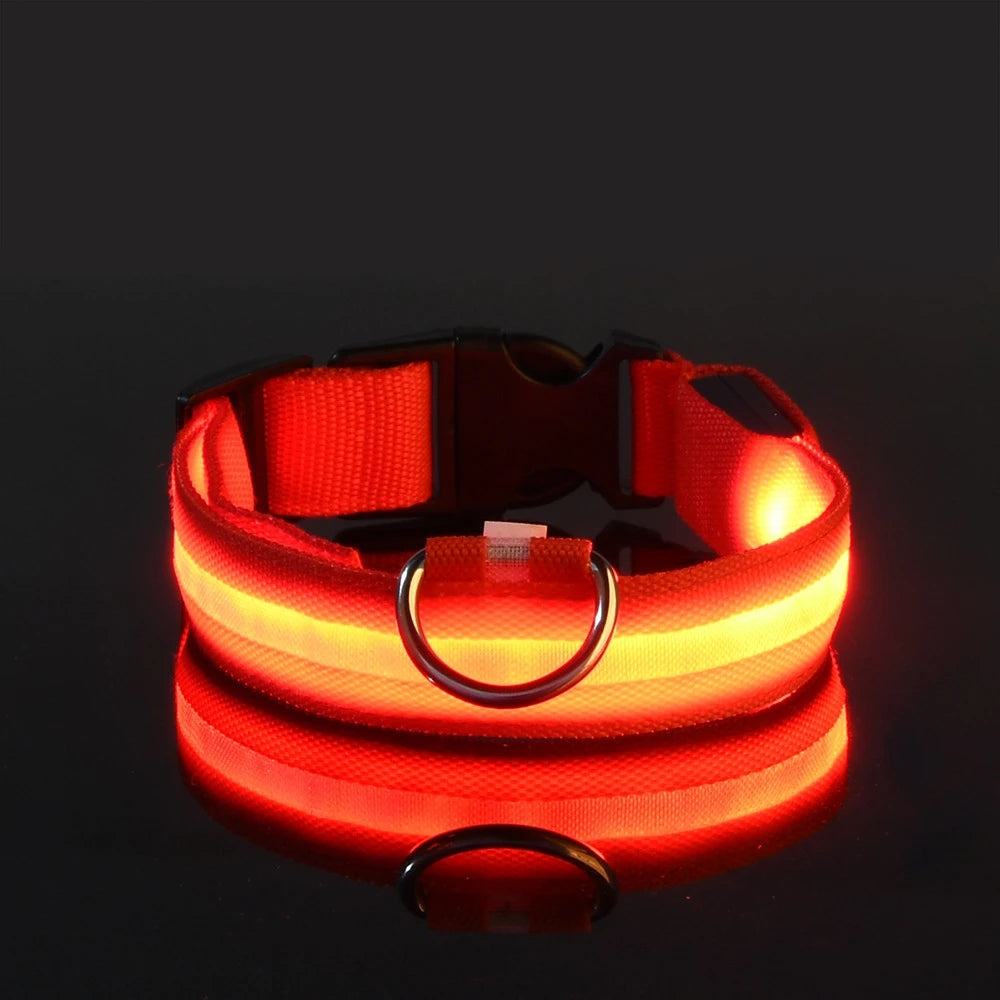 "LED Night Safety Dog Leash - Glow-in-the-Dark & Flashing Light Leash"
