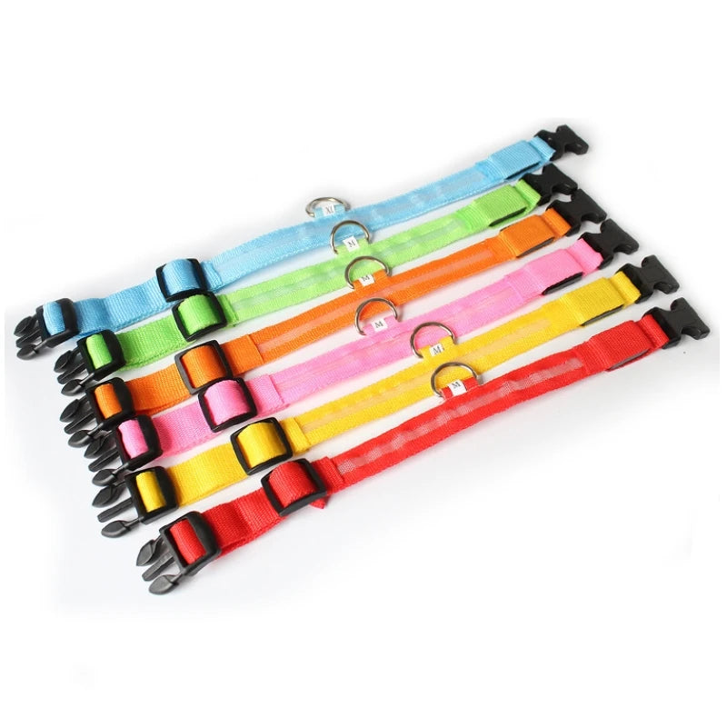"LED Dog Collar - USB Rechargeable Night Safety Light"
