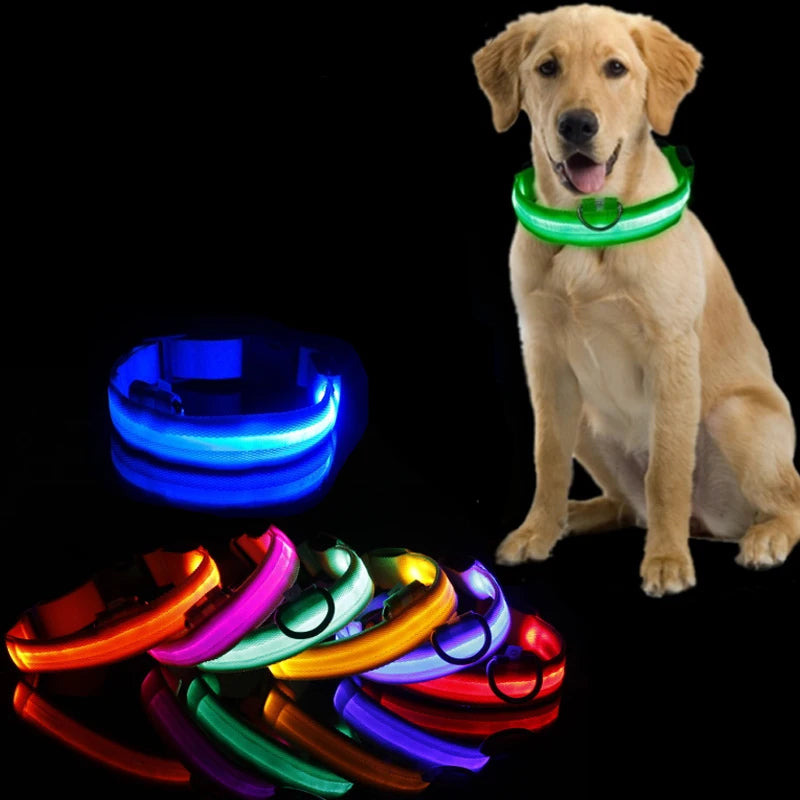 "LED Dog Collar - USB Rechargeable Night Safety Light"