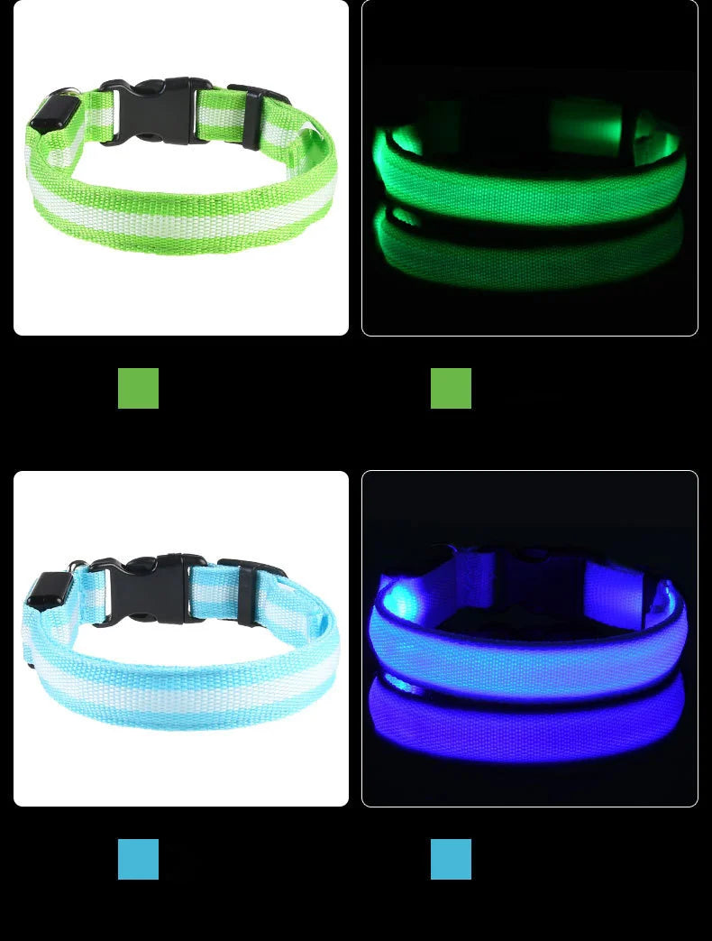 "LED Night Safety Dog Leash - Glow-in-the-Dark & Flashing Light Leash"