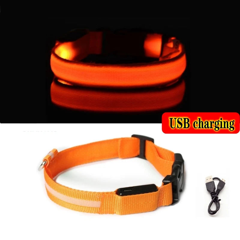 "LED Dog Collar - USB Rechargeable Night Safety Light"