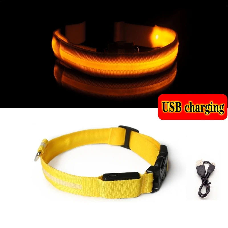 "LED Dog Collar - USB Rechargeable Night Safety Light"