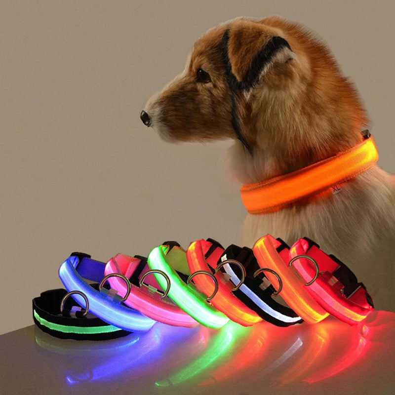 "LED Dog Collar - USB Rechargeable Night Safety Light"
