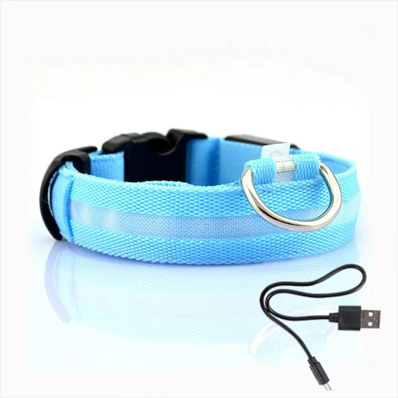 "LED Dog Collar - USB Rechargeable Night Safety Light"