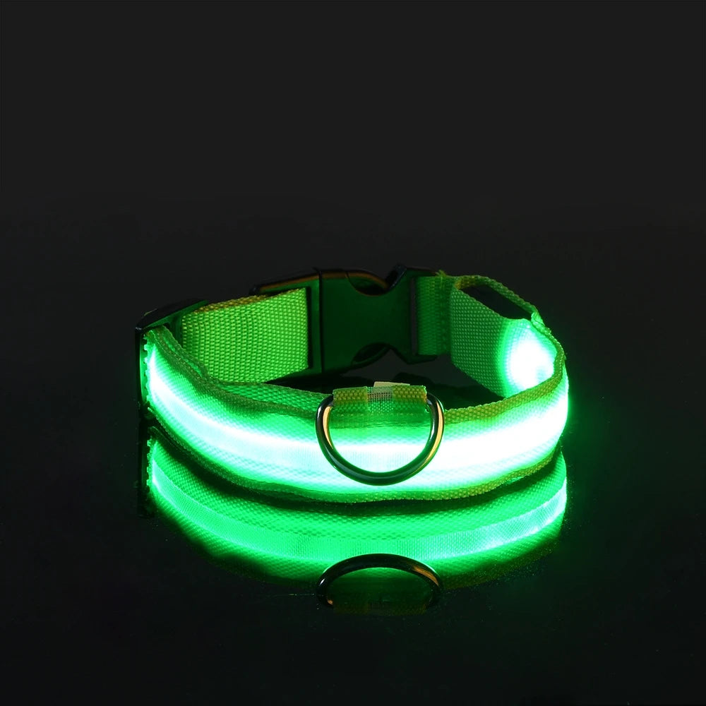 "LED Night Safety Dog Leash - Glow-in-the-Dark & Flashing Light Leash"
