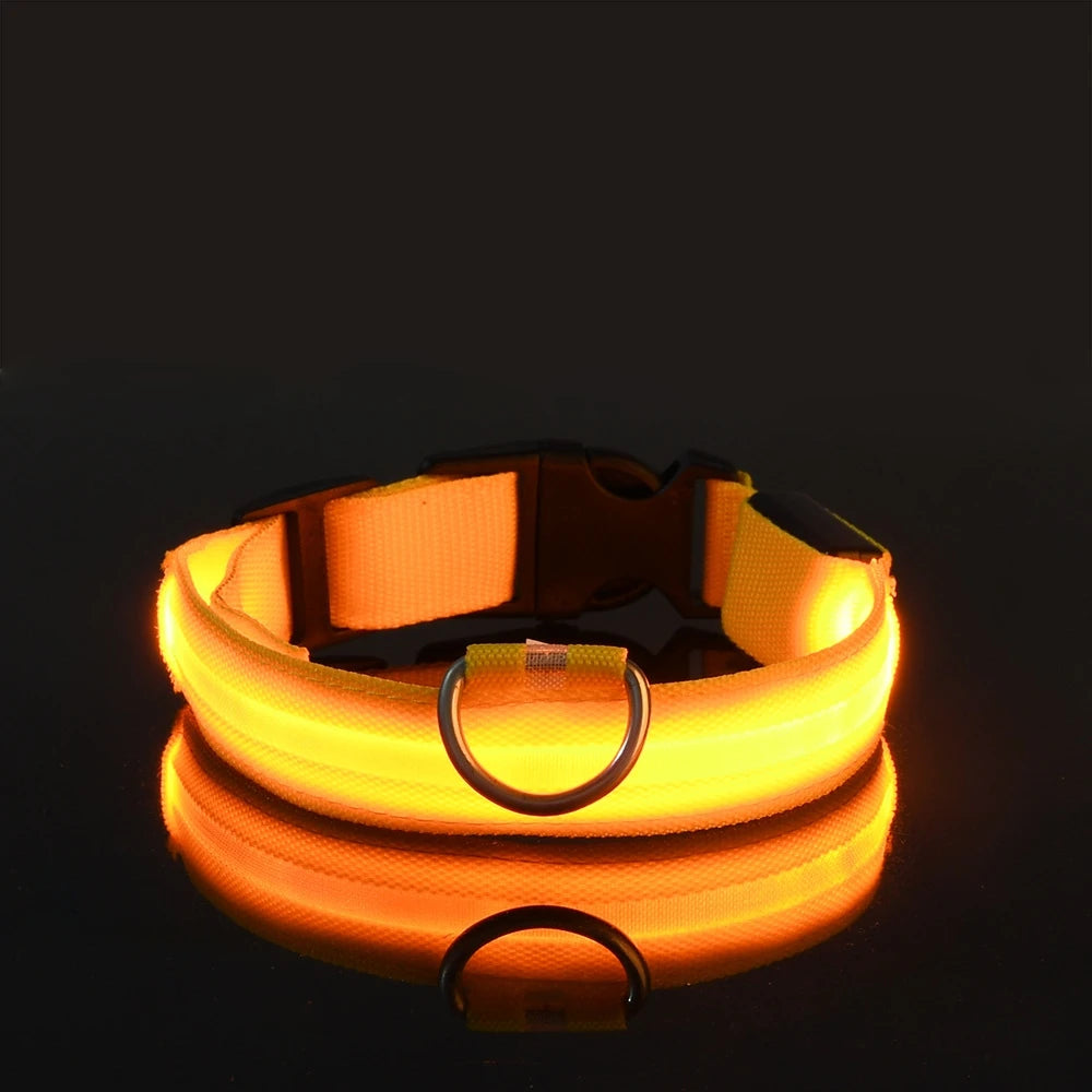"LED Night Safety Dog Leash - Glow-in-the-Dark & Flashing Light Leash"