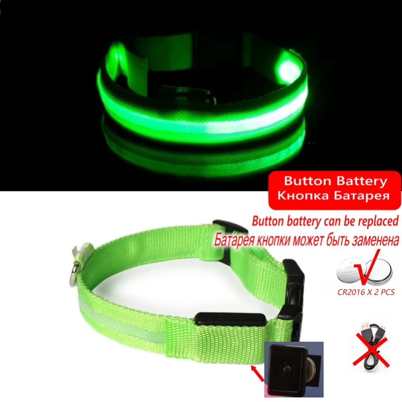 "LED Dog Collar - USB Rechargeable Night Safety Light"