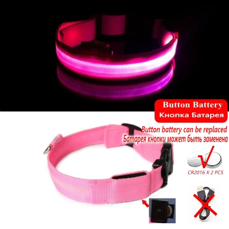 "LED Dog Collar - USB Rechargeable Night Safety Light"