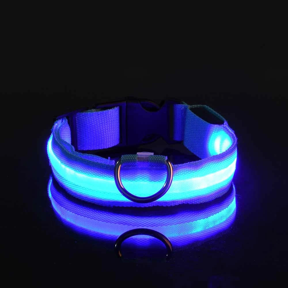 "LED Night Safety Dog Leash - Glow-in-the-Dark & Flashing Light Leash"