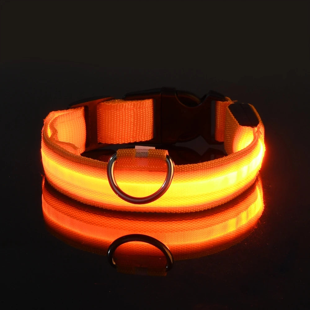 "LED Night Safety Dog Leash - Glow-in-the-Dark & Flashing Light Leash"