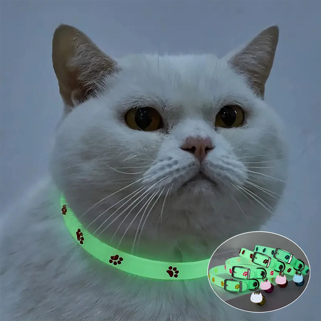 "Glow-in-the-Dark Pet Collar - Adjustable Luminous Collar with Paw Charm"