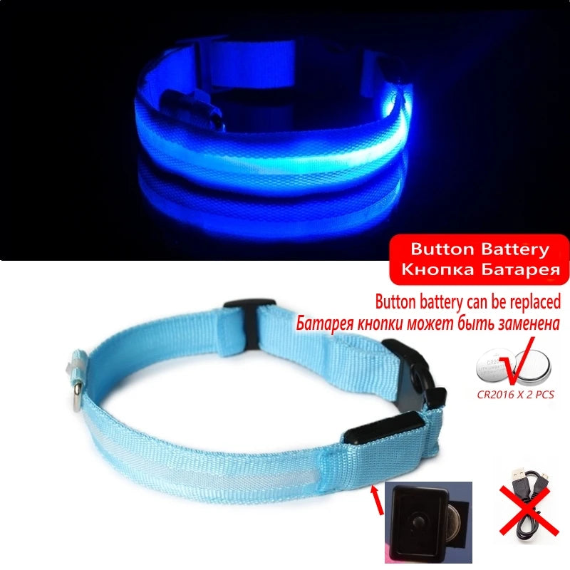 "LED Dog Collar - USB Rechargeable Night Safety Light"
