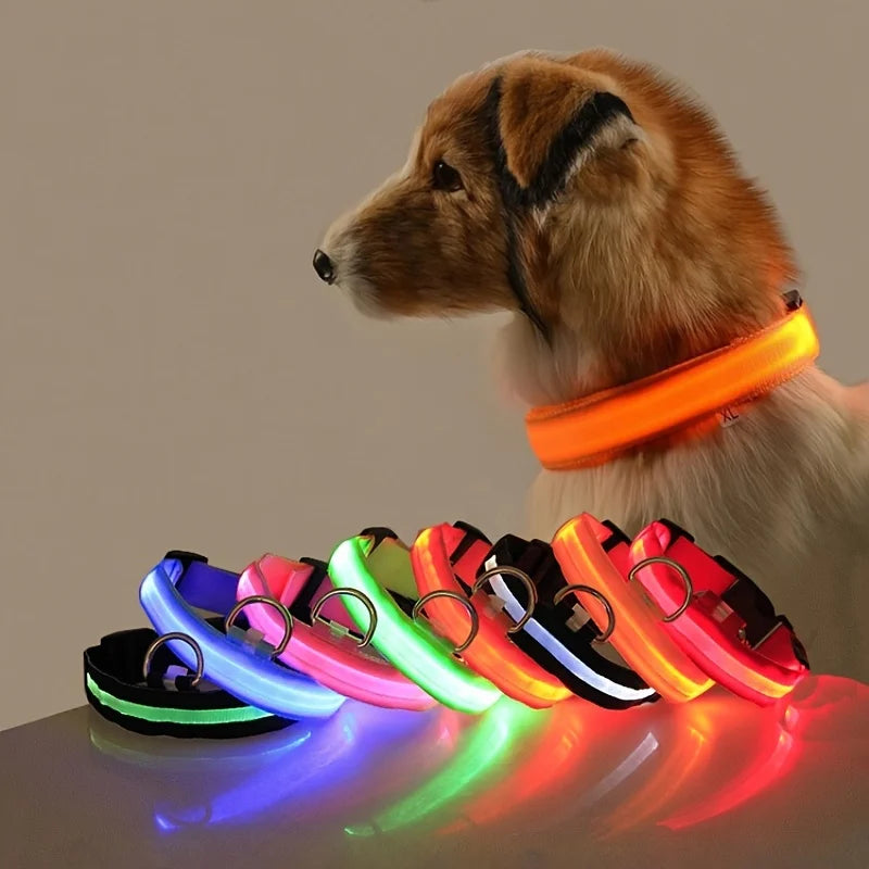 "LED Night Safety Dog Leash - Glow-in-the-Dark & Flashing Light Leash"