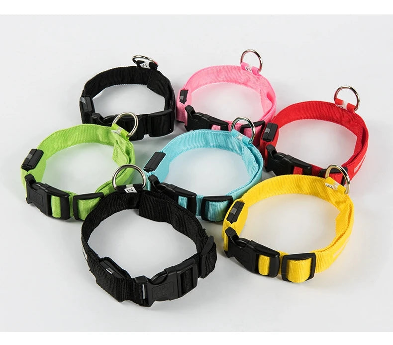 "LED Night Safety Dog Leash - Glow-in-the-Dark & Flashing Light Leash"
