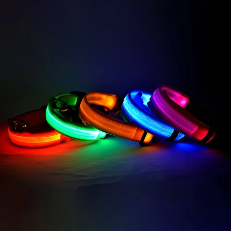 "LED Night Safety Dog Leash - Glow-in-the-Dark & Flashing Light Leash"