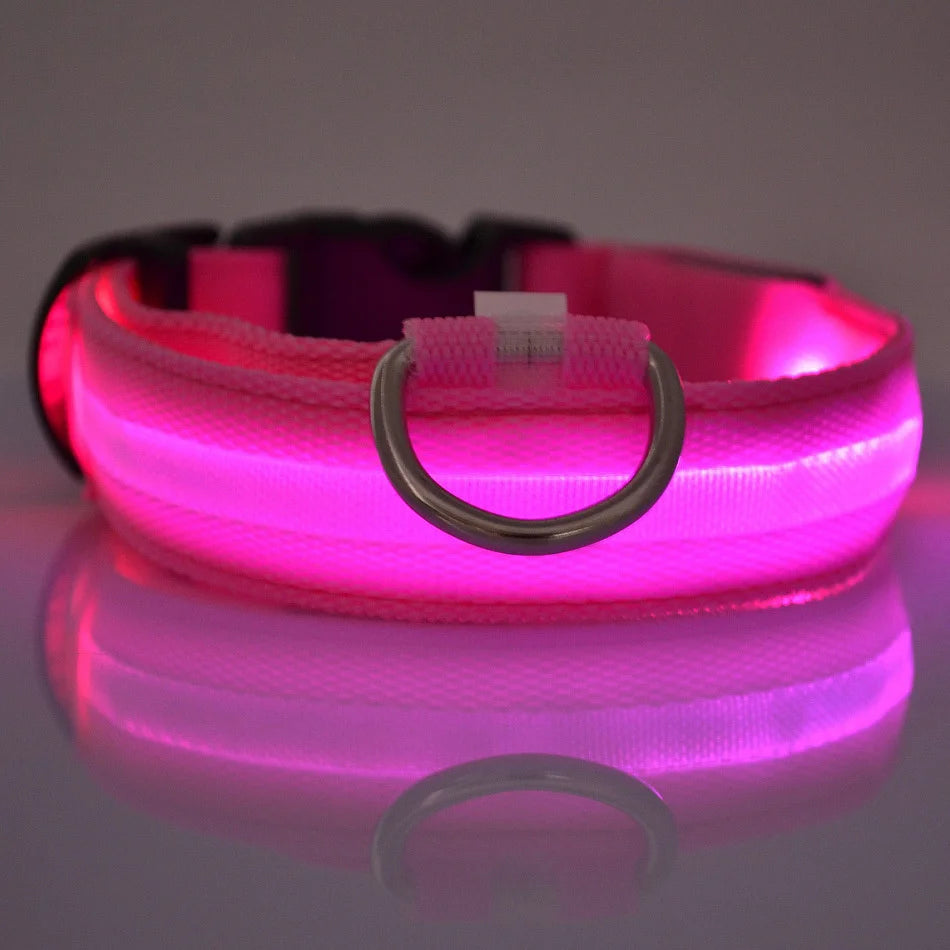 "LED Night Safety Dog Leash - Glow-in-the-Dark & Flashing Light Leash"