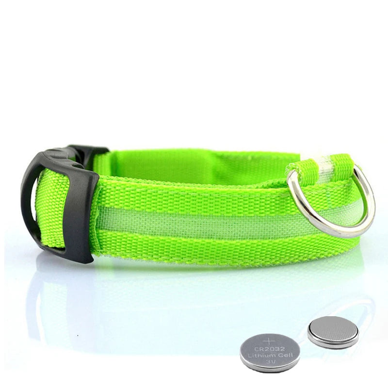 "LED Dog Collar - USB Rechargeable Night Safety Light"