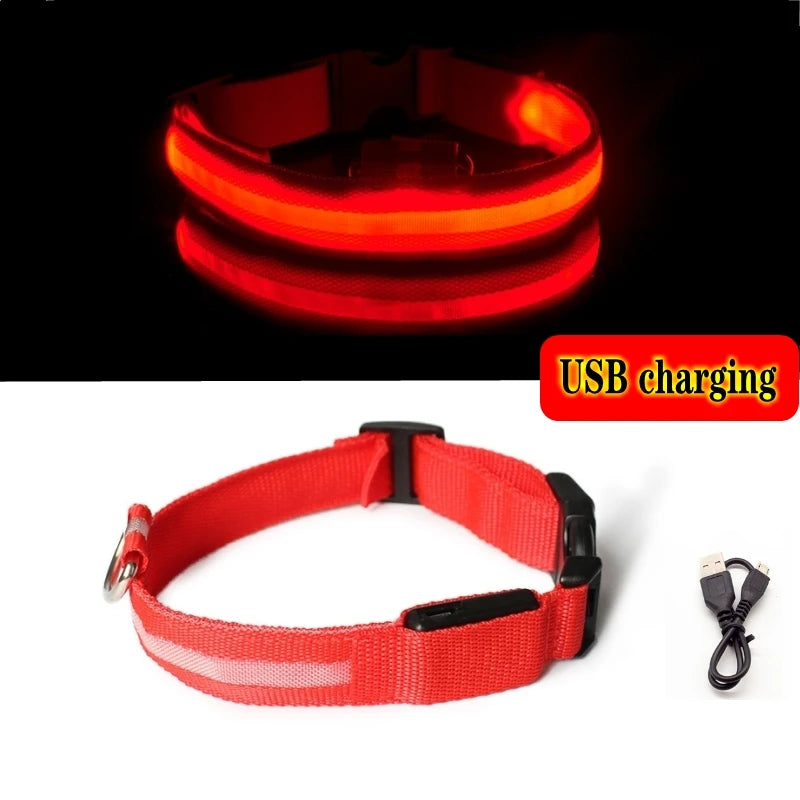 "LED Dog Collar - USB Rechargeable Night Safety Light"
