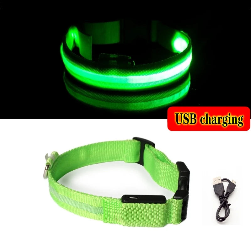 "LED Dog Collar - USB Rechargeable Night Safety Light"