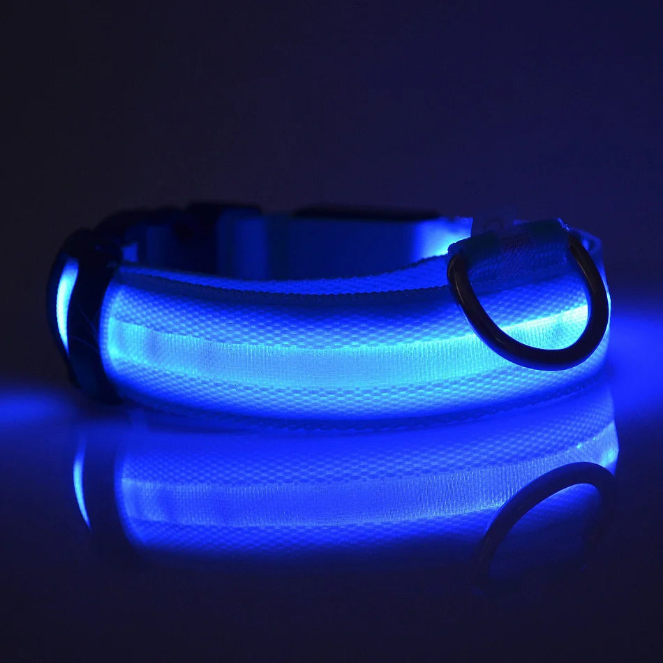 "LED Night Safety Dog Leash - Glow-in-the-Dark & Flashing Light Leash"
