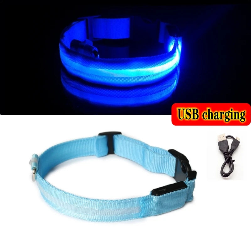 "LED Dog Collar - USB Rechargeable Night Safety Light"