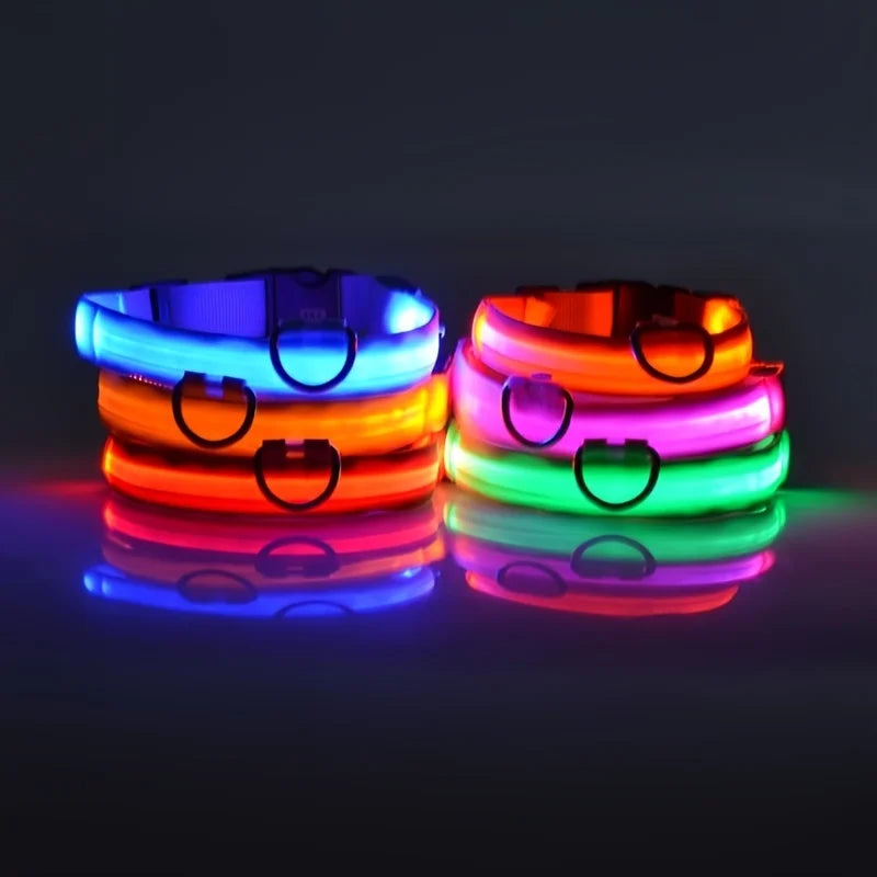 "LED Night Safety Dog Leash - Glow-in-the-Dark & Flashing Light Leash"