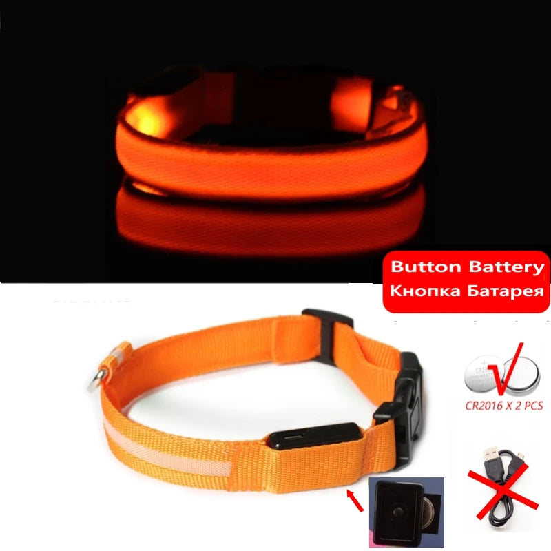 "LED Dog Collar - USB Rechargeable Night Safety Light"