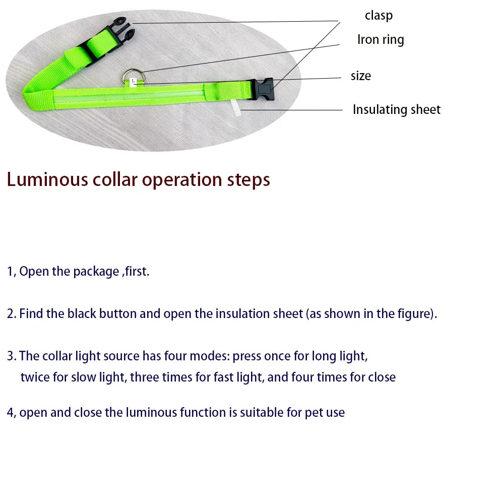 "LED Night Safety Dog Leash - Glow-in-the-Dark & Flashing Light Leash"