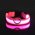 "LED Night Safety Dog Leash - Glow-in-the-Dark & Flashing Light Leash"