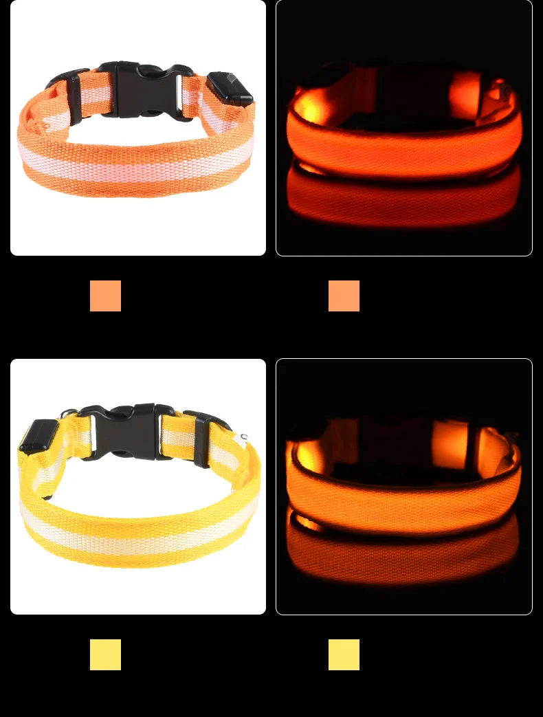 "LED Night Safety Dog Leash - Glow-in-the-Dark & Flashing Light Leash"