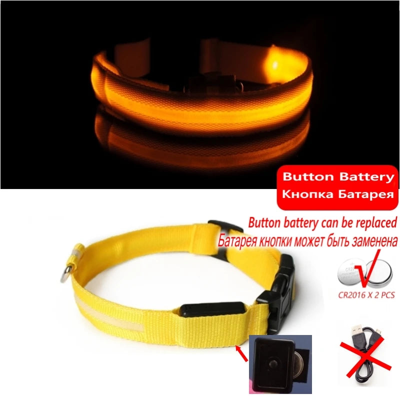 "LED Dog Collar - USB Rechargeable Night Safety Light"