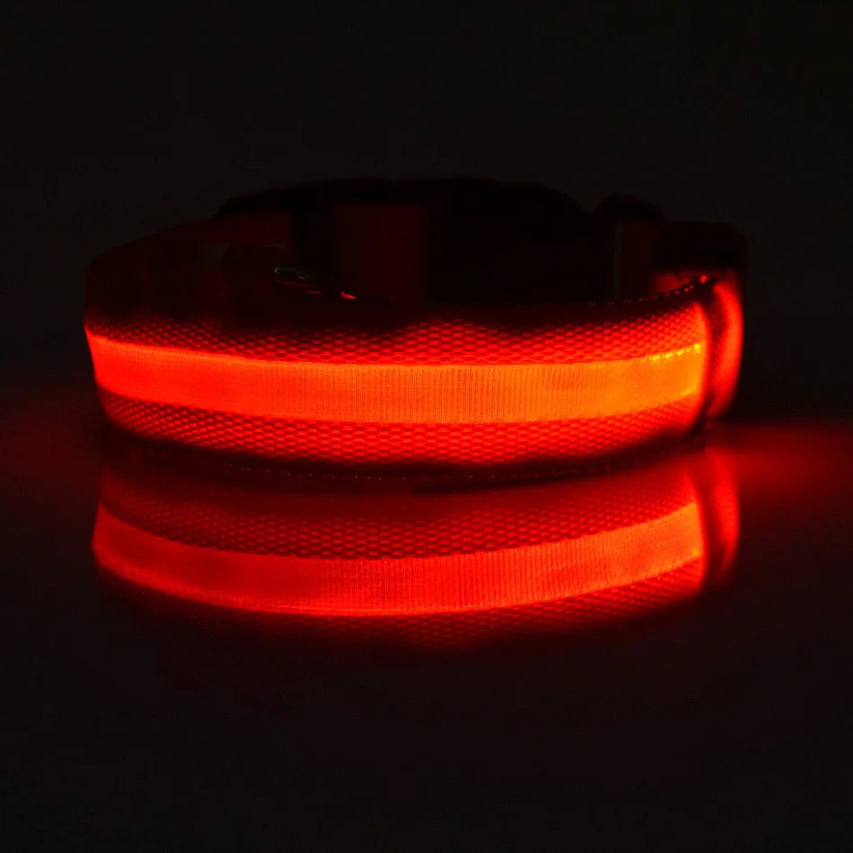 "LED Night Safety Dog Leash - Glow-in-the-Dark & Flashing Light Leash"
