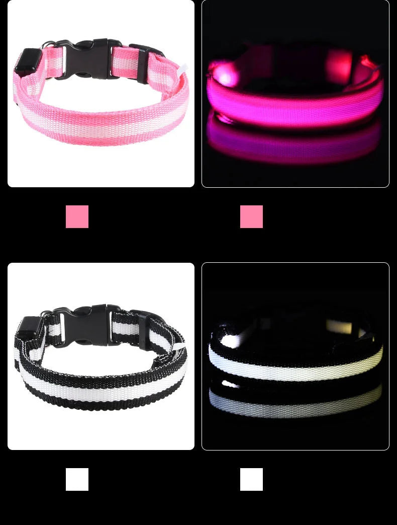 "LED Night Safety Dog Leash - Glow-in-the-Dark & Flashing Light Leash"