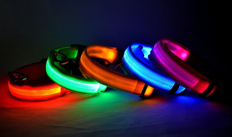 "LED Night Safety Dog Leash - Glow-in-the-Dark & Flashing Light Leash"