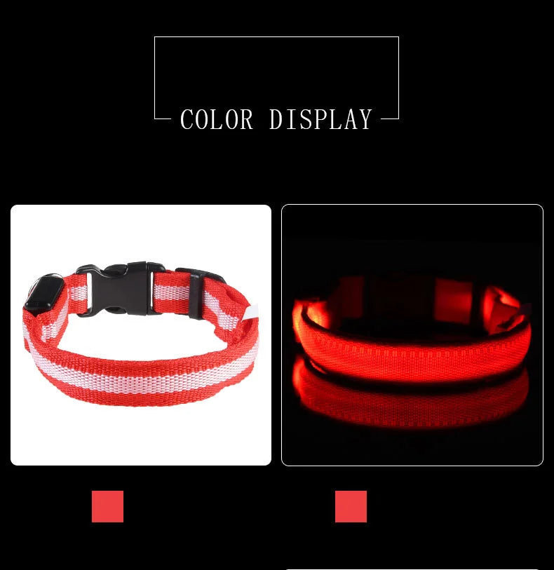 "LED Night Safety Dog Leash - Glow-in-the-Dark & Flashing Light Leash"