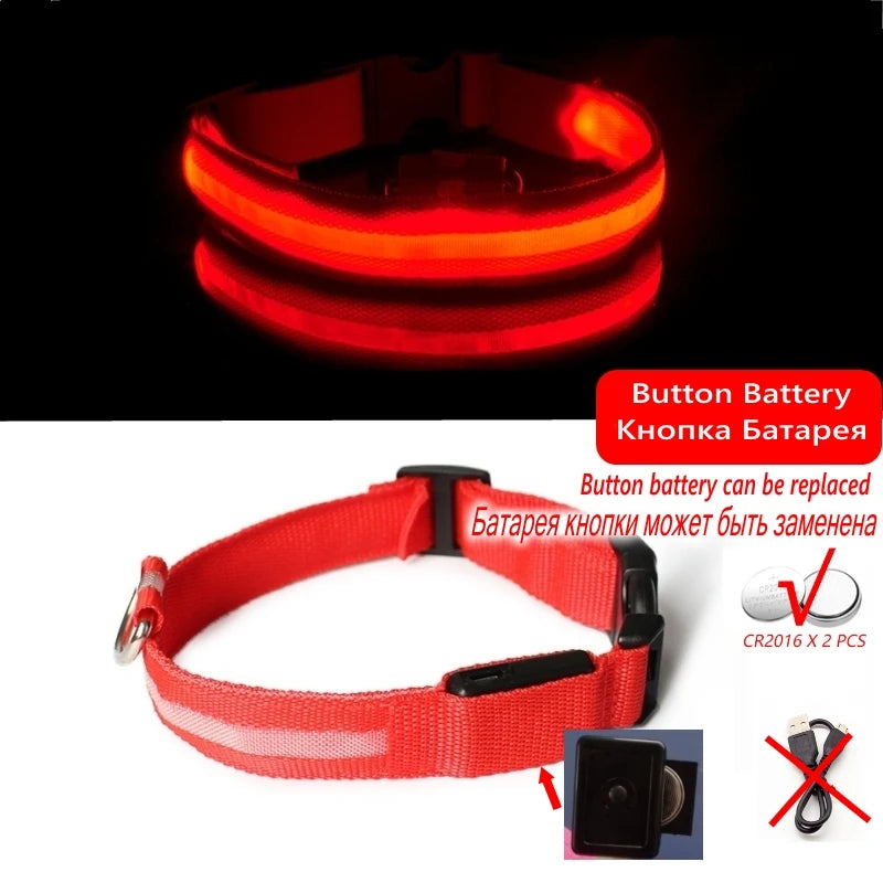 "LED Dog Collar - USB Rechargeable Night Safety Light"